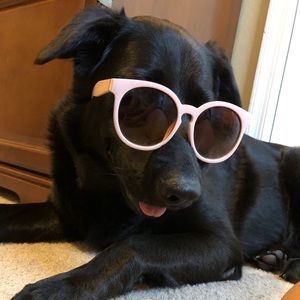 Meet your Posher, Chase